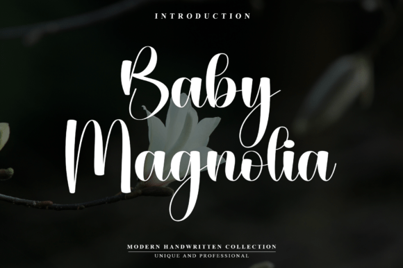 Baby Magnolia: The Elegant Script Font for Modern Branding