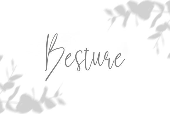 Besture: The Typeface That Elevates Small Business Branding
