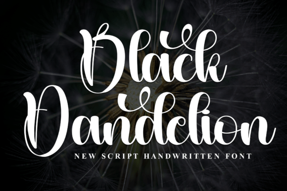 Black Dandelion: A Script Font for Elegant Web Design