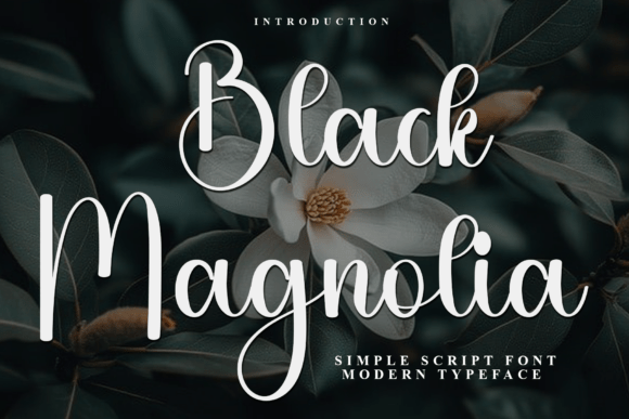 Black Magnolia: A Modern Script Typeface for Polished Brand Identity